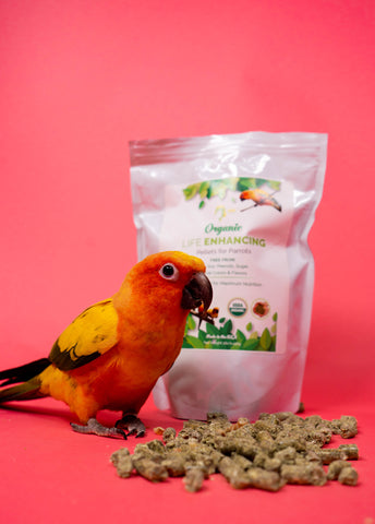 Conure Pellets