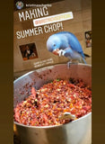 Natural Feeding System (In Print)