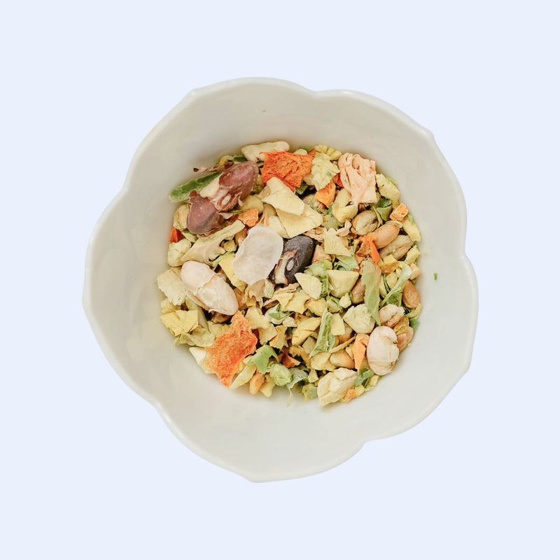 Healthiest Parrot Food