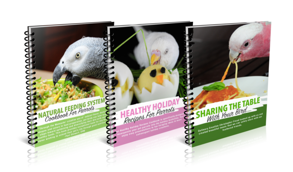 Seasonal Feeding System for Parrots