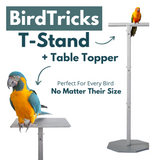 Training Stand