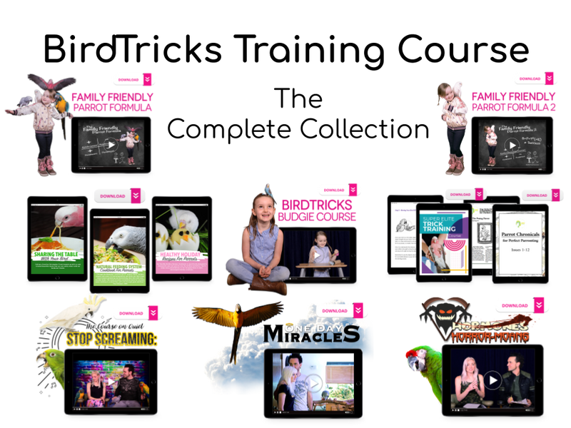 BirdTricks®极速一分钟赛车168体彩网 Training Course | The Complete Collection