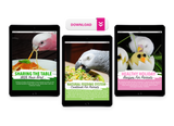 The Parrot Natural Nutrition Course