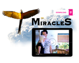 BirdTricks Training Course | Advanced Level