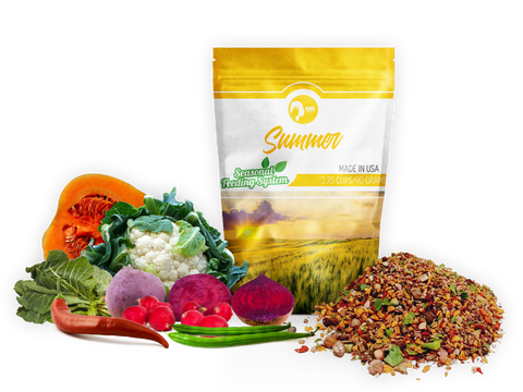 BirdTricks Seasonal Feeding System