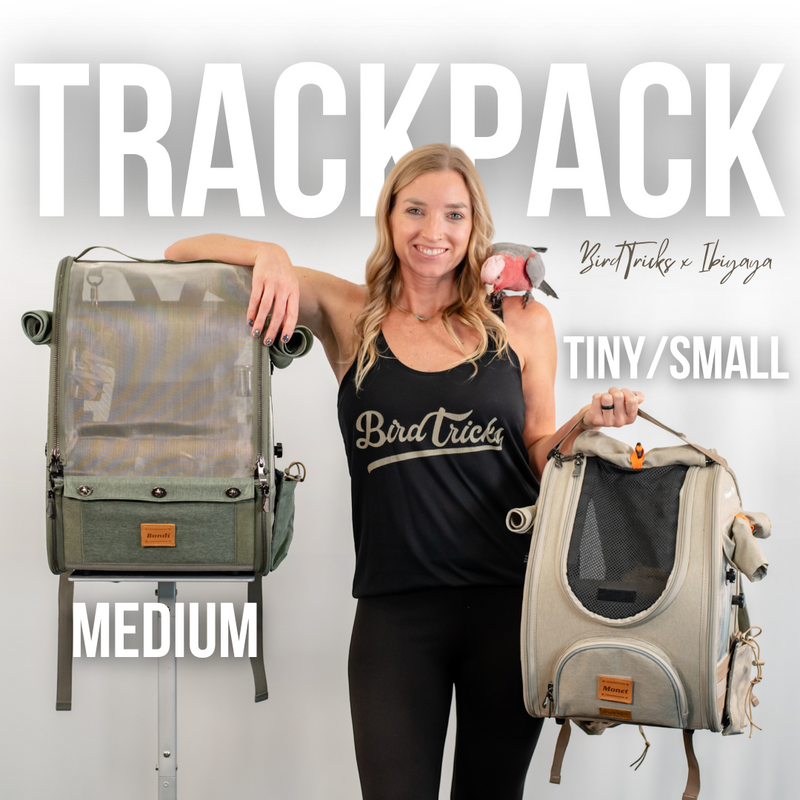 BirdTricks®极速一分钟赛车168体彩网 x Ibiyaya TrackPack